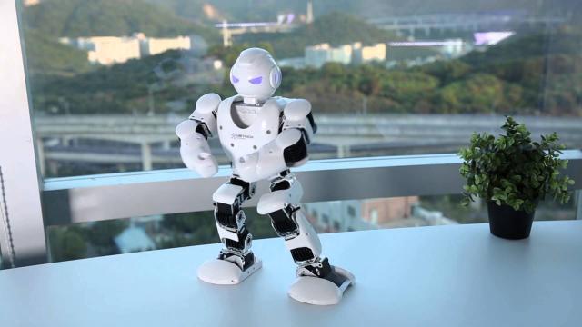 <b>Turul Magazinelor #38: Roboţei dansatori, baterii şi laptopuri, dar şi un "turn" PC copycat</b>Ne apropiem de finalul săptămânii şi nu ar trebui să vă sperie data de azi, adică 13, dacă aţi plănuit o sesiune de shopping online. Astfel, am descoperit câteva gadgeturi interesante, ca de obicei, unele cu preţ bun, altele pur şi simplu inedite