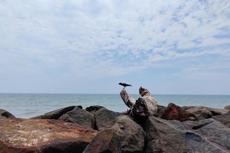 Mostre zoom optic 3x OnePlus 7 Pro: OnePlus-7-Pro-3.jpg