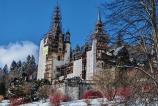 IMG_20250221_144857.jpg