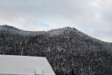 IMG_20250219_164154.jpg