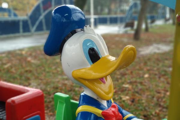 Xiaomi Mi A1 - Mostre Foto (ziua)