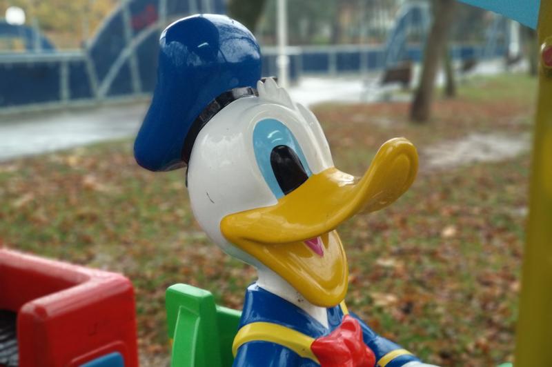 Xiaomi Mi A1 - Mostre Foto (ziua): IMG_20171118_144329.jpg