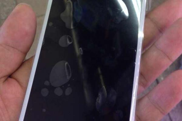 Noi imagini cu panoul frontal al lui iPhone 6 și componente de iPad Air 2 apar pe web