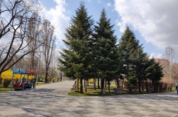 Motorola Moto G100 - Mostre Foto (ziua): IMG_20210330_154741060.jpg