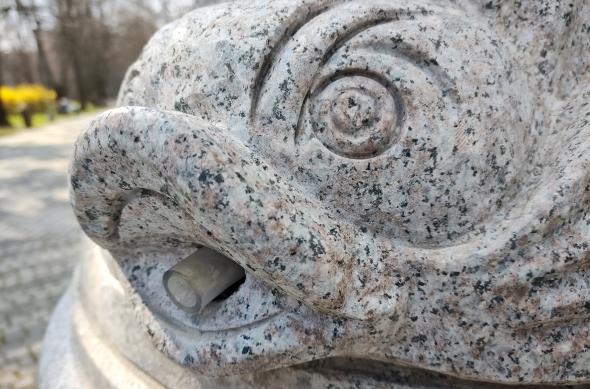 Motorola Moto G100 - Mostre foto (macro): IMG_20210330_154541601.jpg