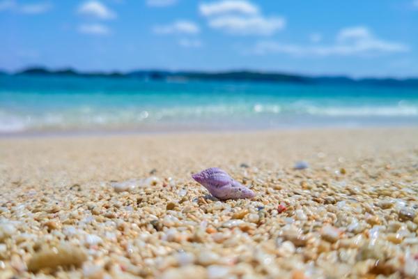 Sharp Aquos R6 - Mostre foto oficiale