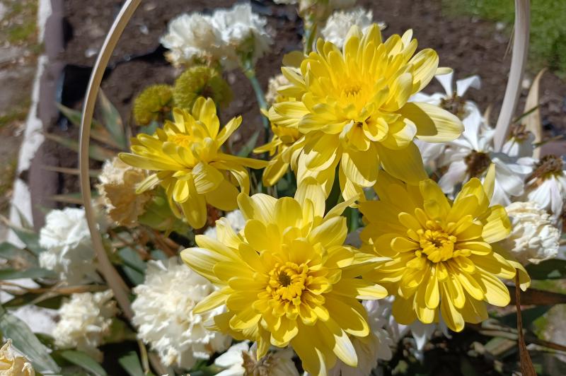 realme 8 5G - Mostre Foto (ziua): IMG20210510144304.jpg