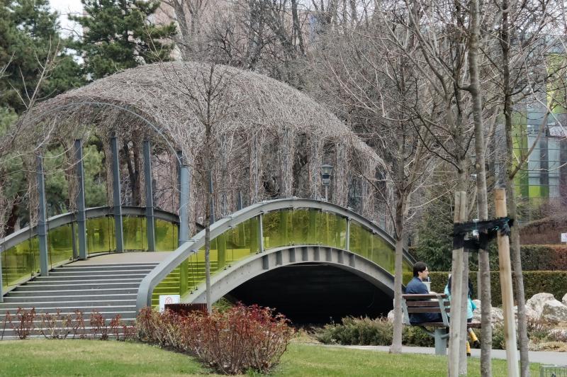 realme 12 Pro+ - Mostre zoom: realme-12-pro-plus-mostre-zoom_023.jpg