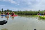 IMG_20220524_140602.jpg