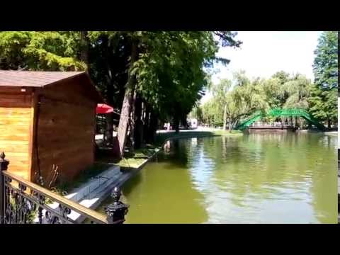 Allview X2 Soul 1920x1088 7 25 FPS video sample II. - Mobilissimo.ro