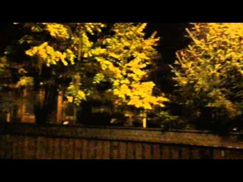 iPhone 6s Plus mostră video Full HD, 30 FPS, low light II. - Mobilissimo.ro
