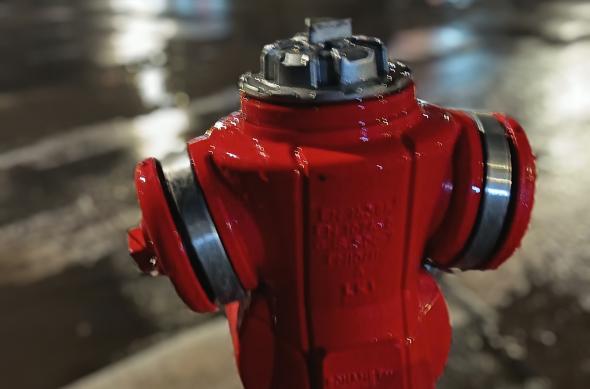 HONOR 600 Lite - Mostre foto (seara): IMG_20260331_021359.jpg