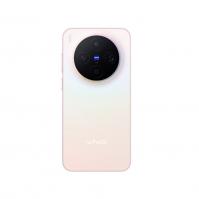 Vivo X300
