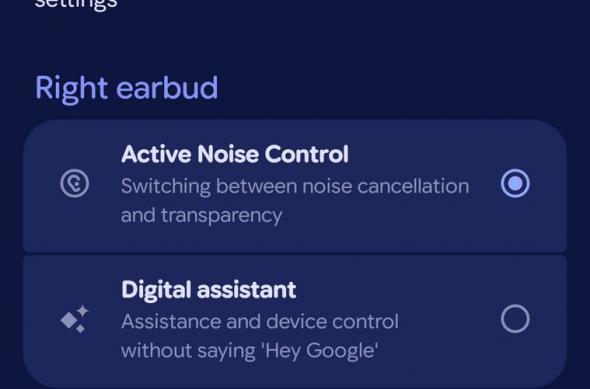 Google Pixel Buds 2a - Screenshots: Pixel-Buds-2a-App (12).jpg