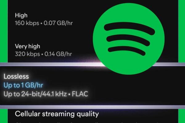 Spotify aduce muzica lossless și în România; Format FLAC disponibil în aplicație pentru abonații Premium
