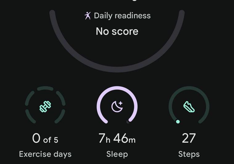 Google Pixel Watch 4 45mm - Screenshots Fitbit: Pixel-Watch-4-Fitbit_013.jpg