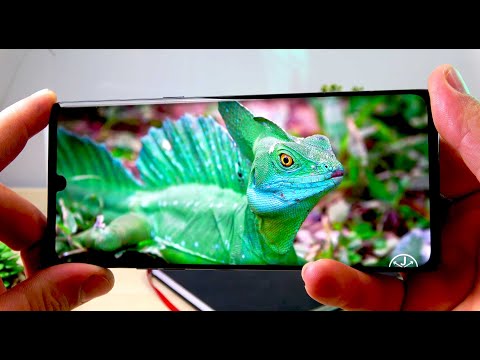 LG Velvet Video Review în Limba Română