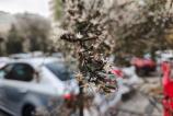 OPPO-Find-X8-Pro-Mostre-Bokeh_004.jpg