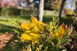OPPO-Find-X8-Pro-Mostre-closeup_004.jpg