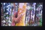 BenQ-GV30-Imagine_031.jpg