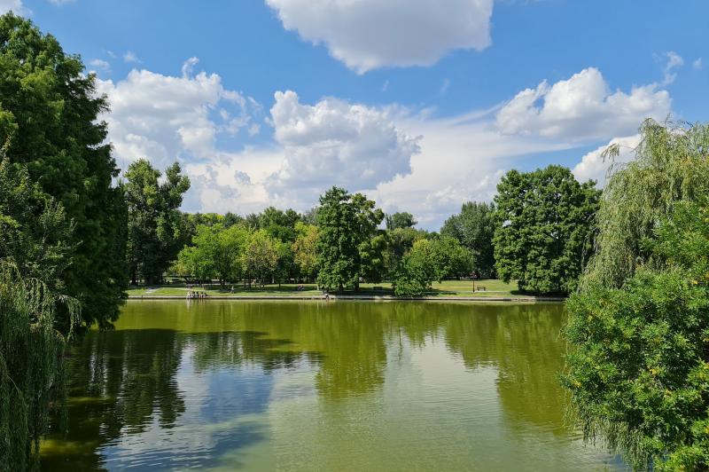 Samsung Galaxy Note 20 Ultra 5G - Mostre Foto (ziua): 20200811_152923.jpg