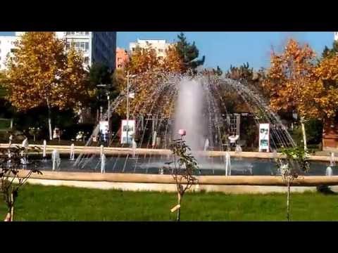 ASUS Zenfone Selfie mostră video Full HD, 30 FPS + Zoom - Mobilissimo.ro