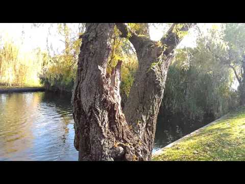 ASUS Zenfone Selfie mostră video Full HD, 30 FPS - Mobilissimo.ro