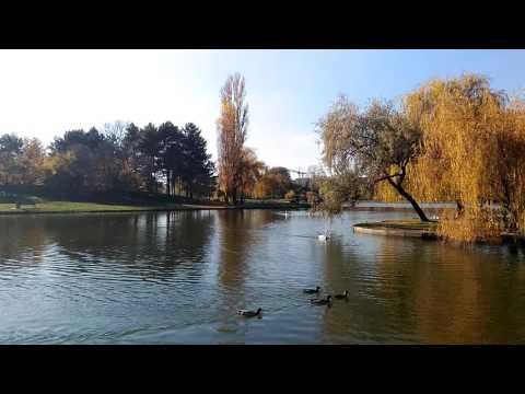 ASUS Zenfone Selfie mostră video Full HD, 30 FPS III. - Mobilissimo.ro