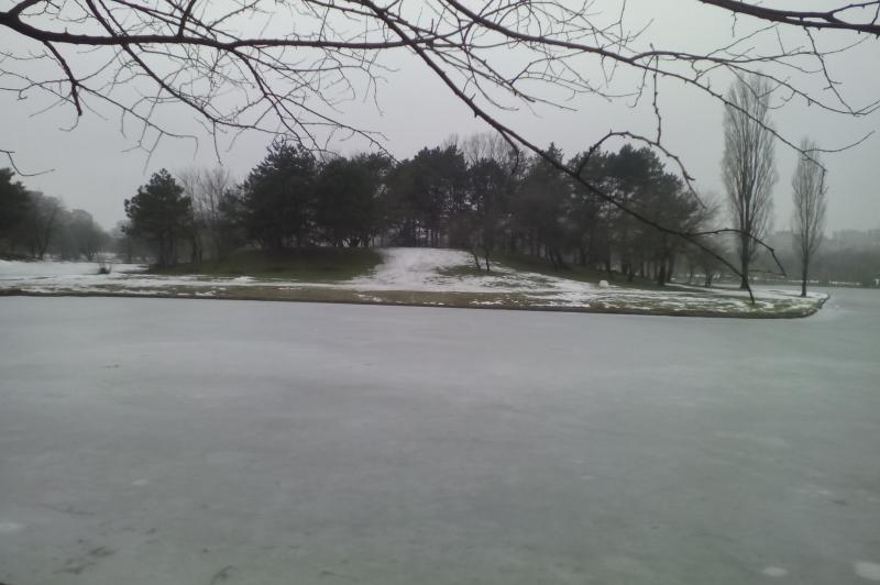 Karbonn Titanium S6 - Mostre Foto: IMG_20150121_171819.jpg