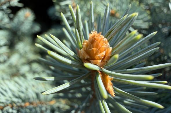 iPhone 17 Pro Max - Mostre macro: iPhone-17-Pro-Max-Mostre-macro_010.jpg