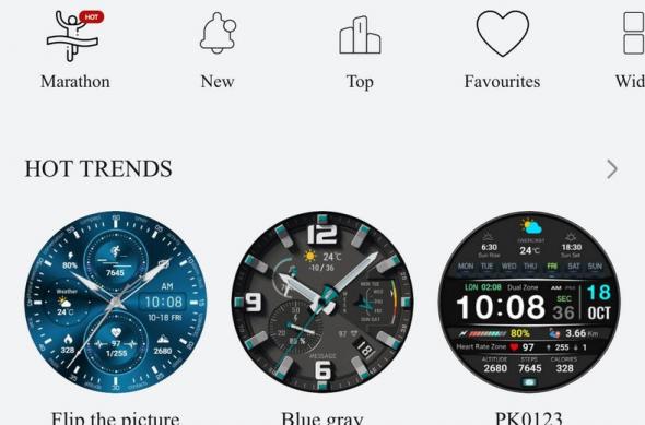 HUAWEI Watch Ultimate 2 - Screenshots aplicație telefon: HUAWEI-Watch-Ultimate-2-iOS_002.jpg