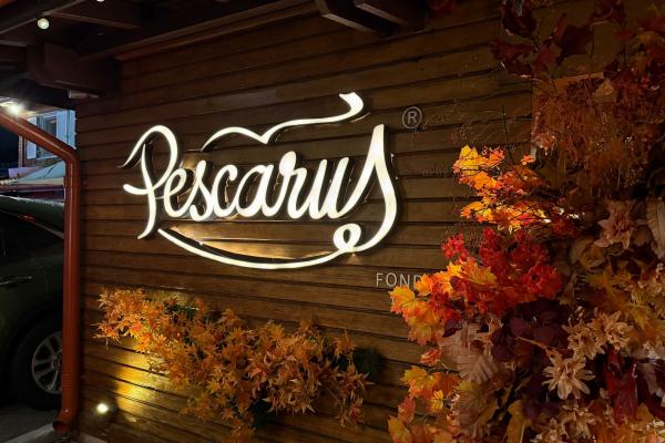 iPhone 17 Pro Max - Mostre noapte