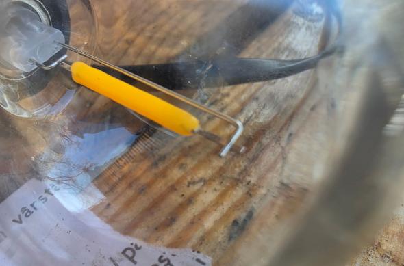 Samsung Galaxy S26 Ultra - Mostre macro: Mostre-macro_ (8).jpg