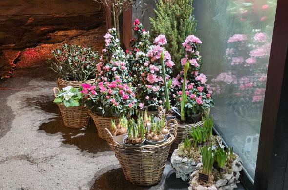 Samsung Galaxy S26 Ultra - Mostre noapte zoom: Zoom-noapte_ (19).jpg