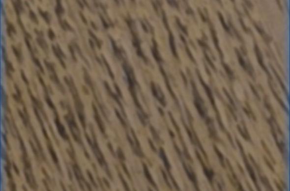 Samsung Galaxy S26 Ultra - Screenshots Camera: Camera_ (2).jpg