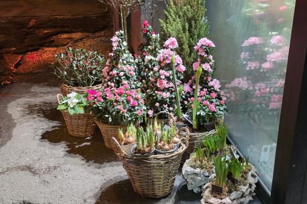 Samsung Galaxy S26 Ultra - Mostre noapte zoom