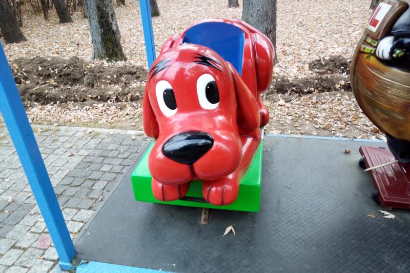 Allview Soul X5 Mini - Mostre Foto (ziua): IMG_20181114_145119.jpg