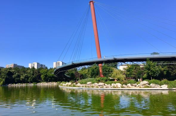 realme 11 Pro - Mostre ziua: realme-11-Pro-Foto-zi_032.jpg
