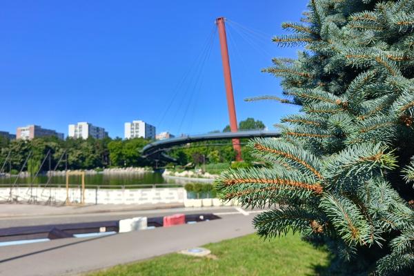 realme 11 Pro - Mostre ziua