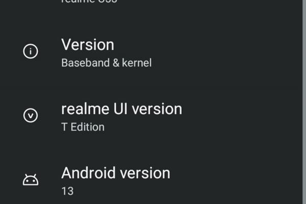 OS, UI, Apps - realme C53