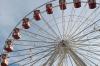 IMG_20241223_135614478.jpg
