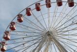IMG_20241223_135614478.jpg