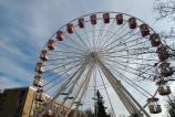 IMG_20241223_135609329.jpg