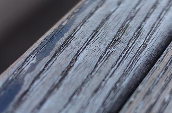 Sony Xperia 1 VI - Mostre macro: Sony-Xperia-1-VI-Mostre-Macro_006.jpg