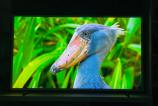 Samsung-The-Frame-65_019.jpg