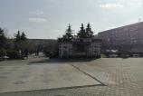 IMG_20250212_132210_139.jpg