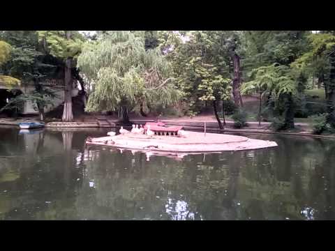 Mstar S700 video sample III. - Mobilissimo.ro