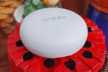 Oppo-Enco-W31_001.jpg