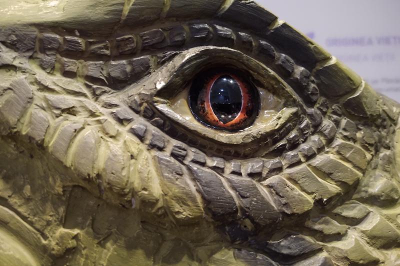 Motorola One Zoom - Mostre Foto (la interior): IMG_20190921_094712463.jpg