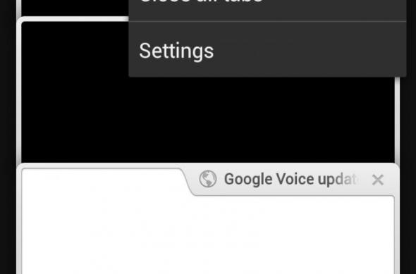Chrome pentru Android disponibil pentru download!: chrome_android_03.jpg